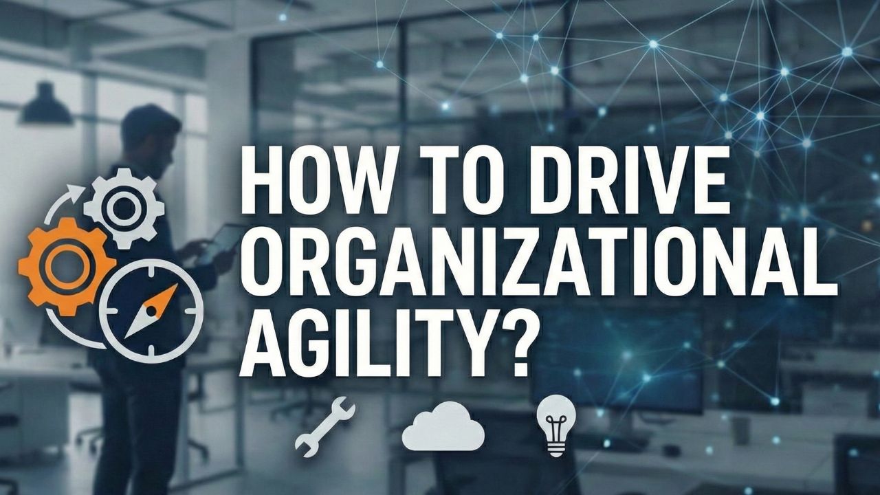 Organizational Agility Leadership Toolkit